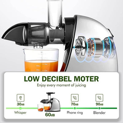 Slow Masticating Juicer AMZCHEF Cold Press Juicer Professional Machine ZM1501 Grey Mini